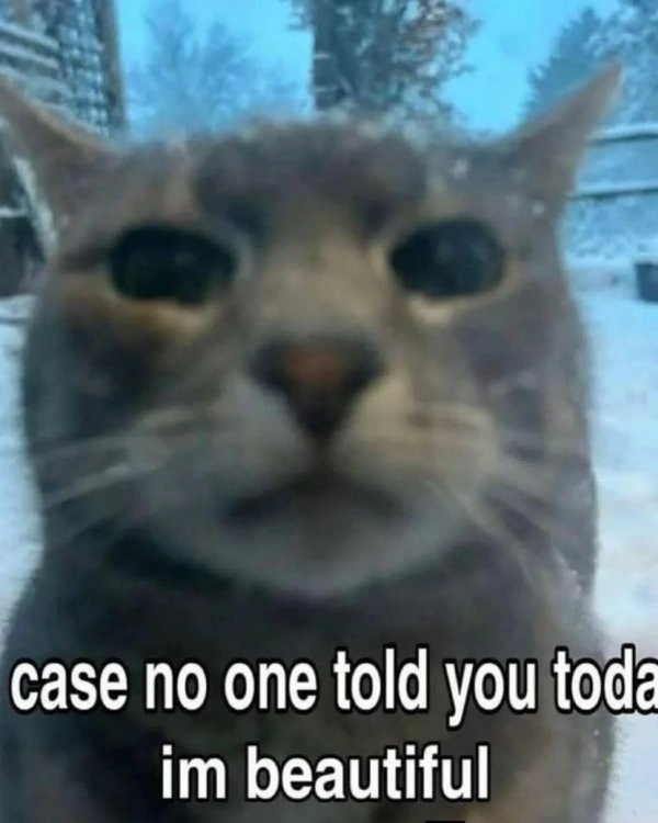 funnyjokes11_036