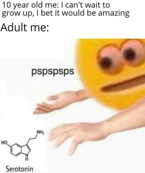 funnyjokes12_010