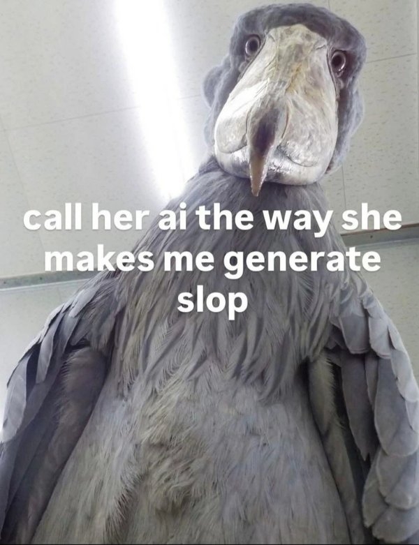 funnyjokes12_012