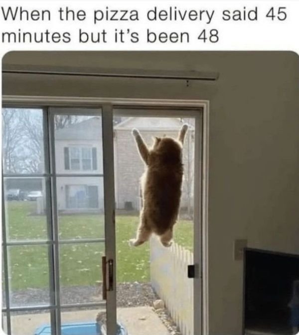 funnyjokes12_022