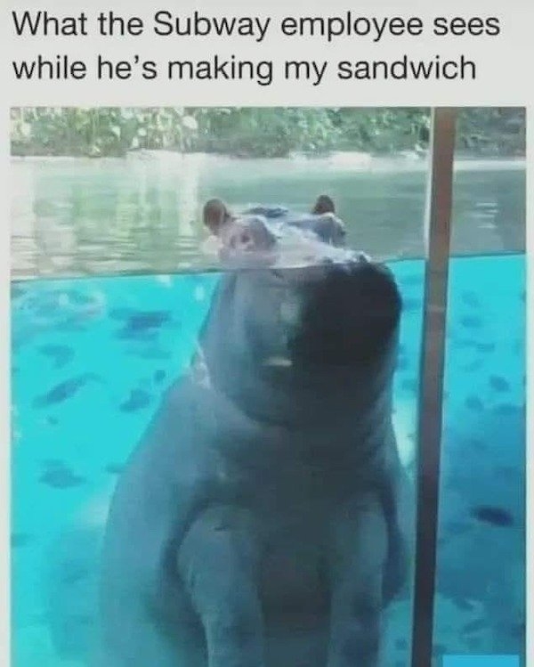 funnyjokes12_023