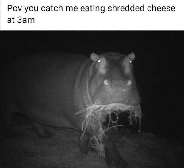 funnyjokes13_001
