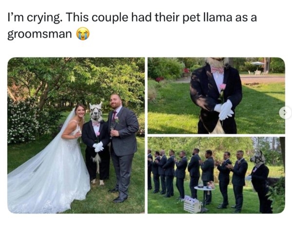 funnyjokes9_040