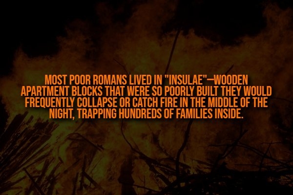 interestingfacts332_002