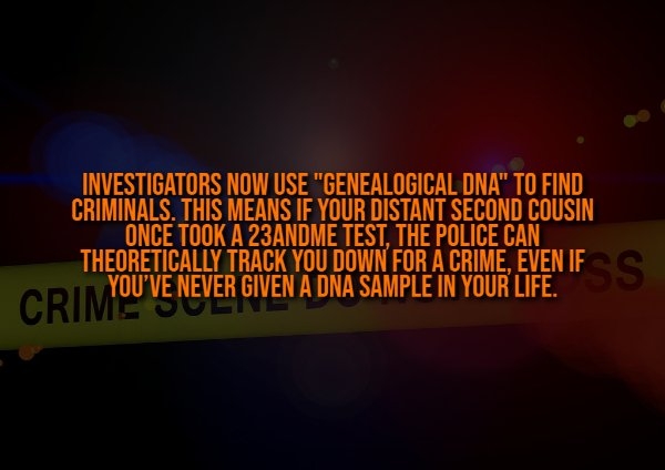 interestingfacts332_003