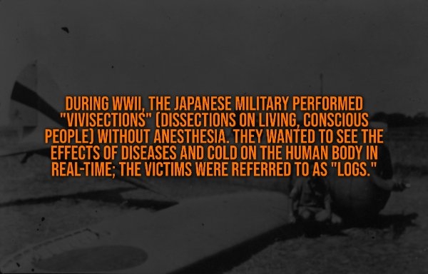 interestingfacts332_005