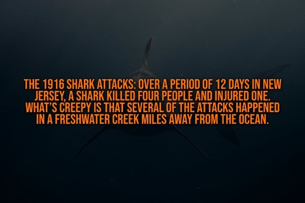 interestingfacts332_009