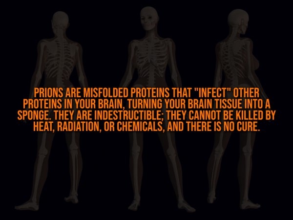 interestingfacts332_012