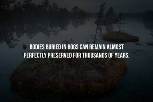 interestingfacts333_001