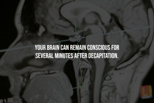 interestingfacts333_004