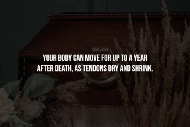 interestingfacts333_006