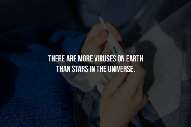 interestingfacts333_007