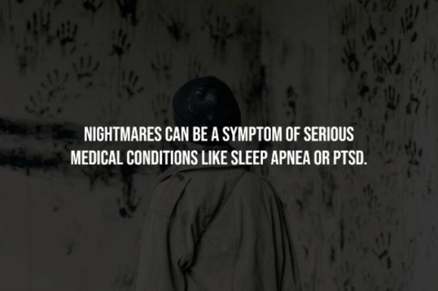 interestingfacts333_008