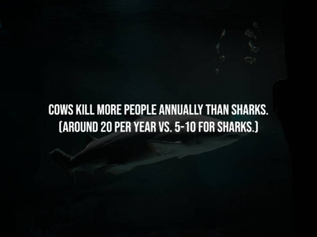 interestingfacts333_013