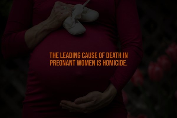 interestingfacts335_001