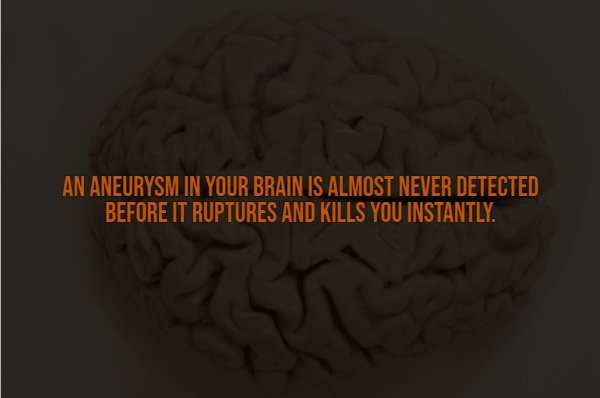 interestingfacts335_003