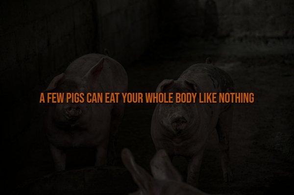 interestingfacts335_010