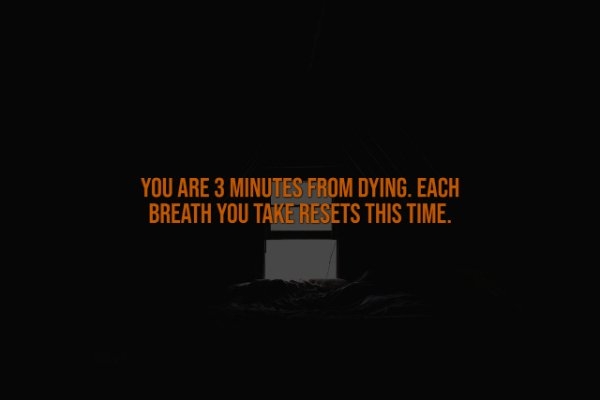 interestingfacts335_012