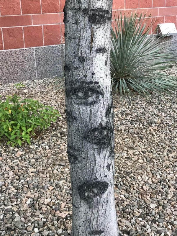 opticalillusions17_015