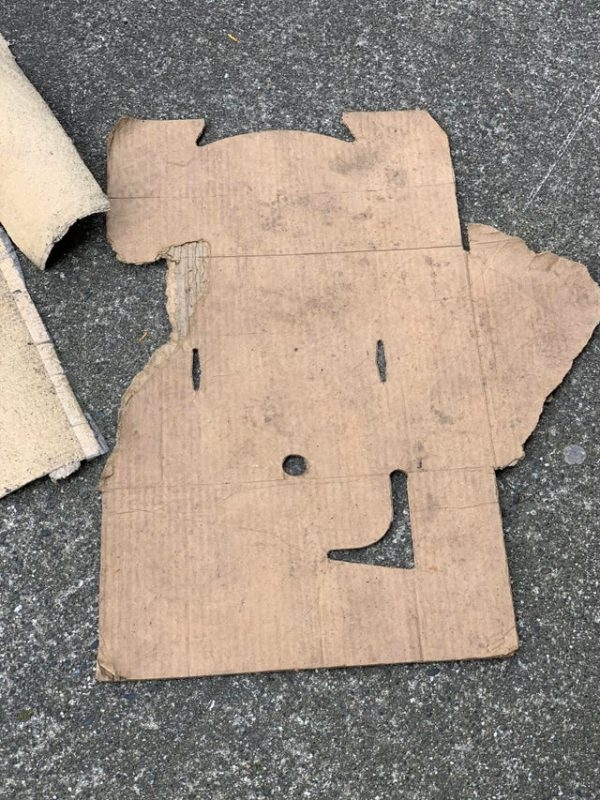 opticalillusions17_025