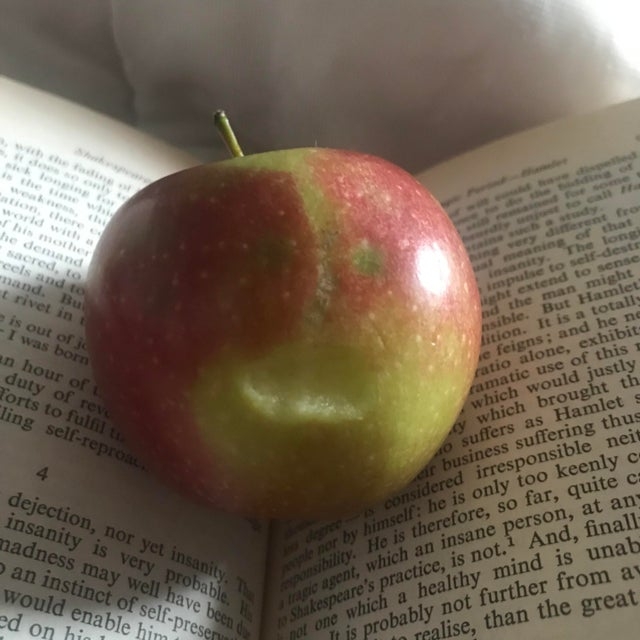 opticalillusions17_026