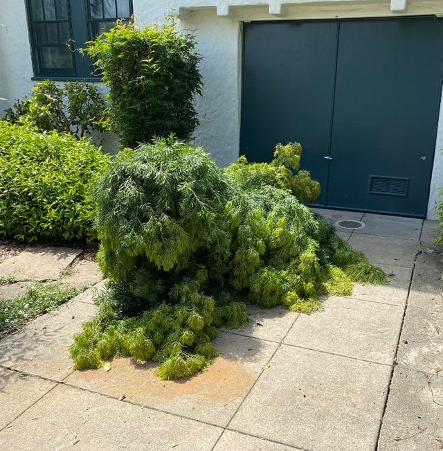 opticalillusions17_031