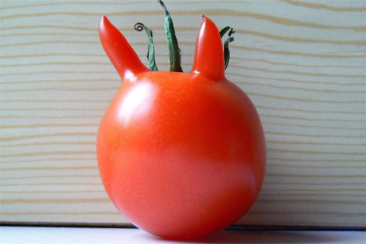 opticalillusions17_034