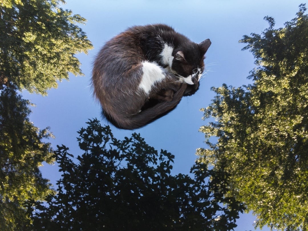 opticalillusions19_039