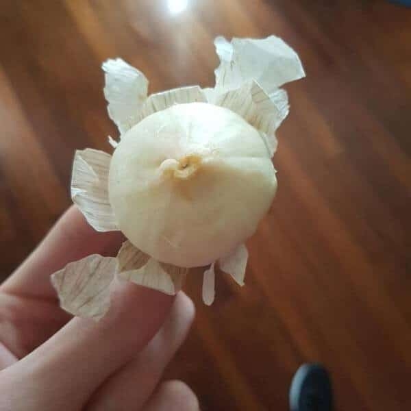 perfectphotos193_001