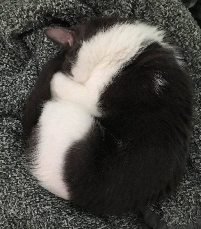 perfectphotos193_013