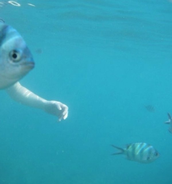 perfectphotos193_025