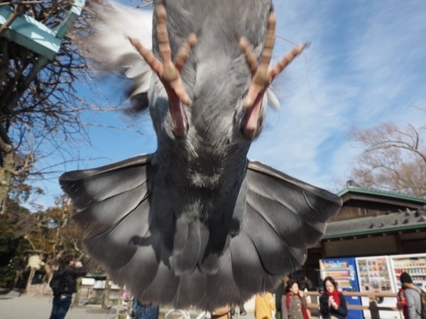 perfectphotos193_030