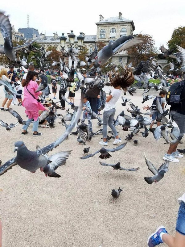 perfectphotos193_036