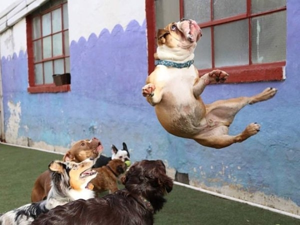 perfectphotos194_005