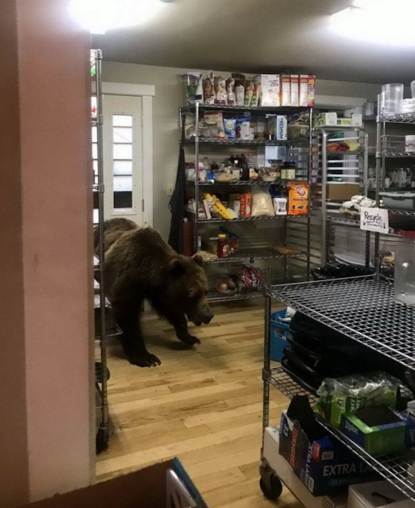 perfectphotos195_002