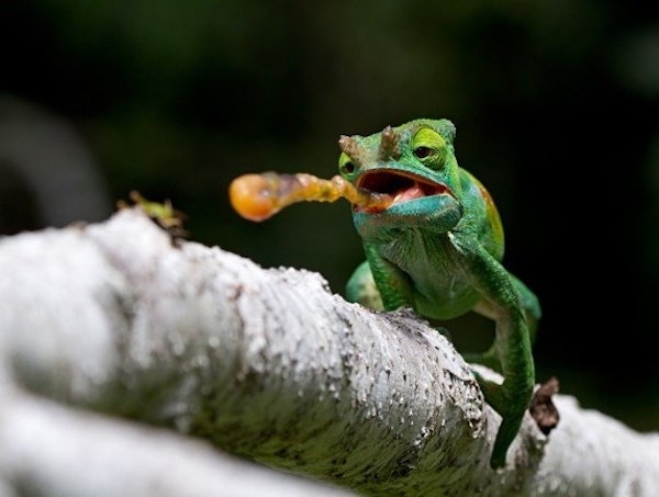 perfectphotos195_013