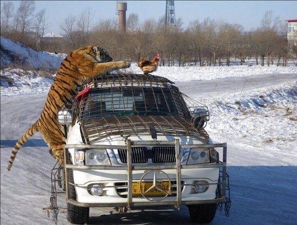 perfectphotos195_015