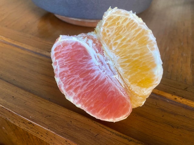 perfectphotos198_003