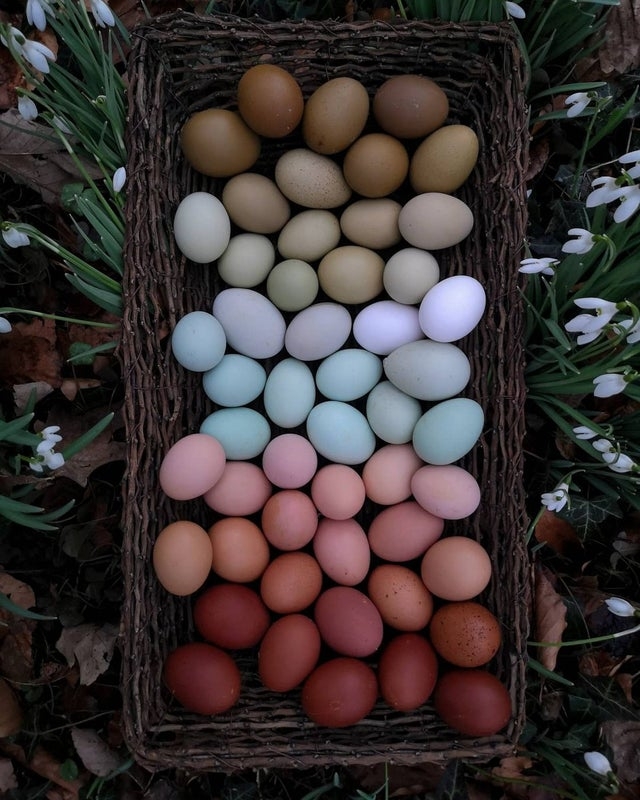 perfectphotos198_010