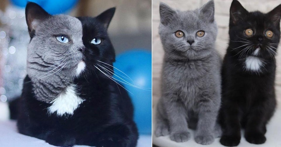 perfectphotos198_019