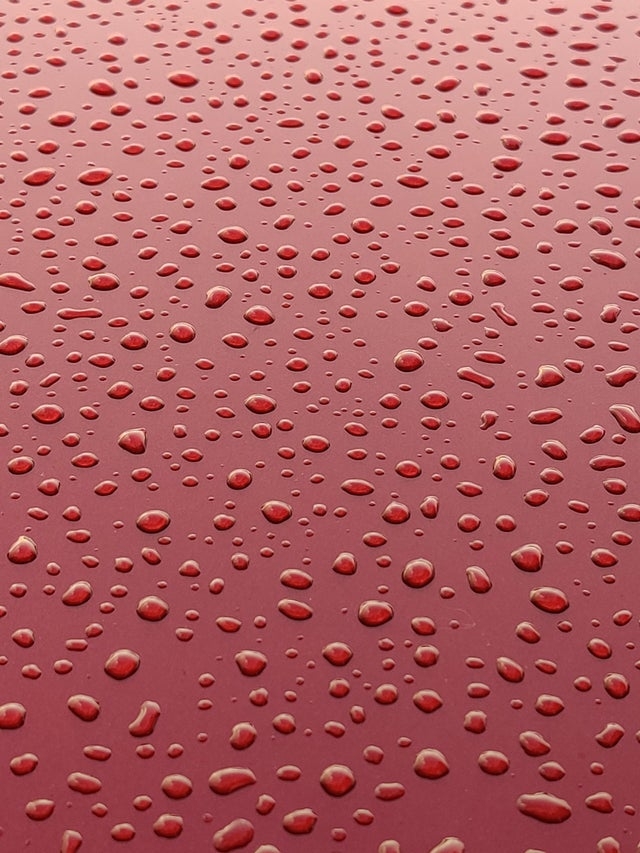 perfectphotos199_004