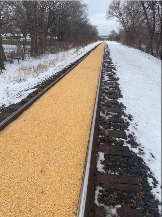 perfectphotos199_009