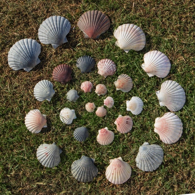 perfectphotos199_014