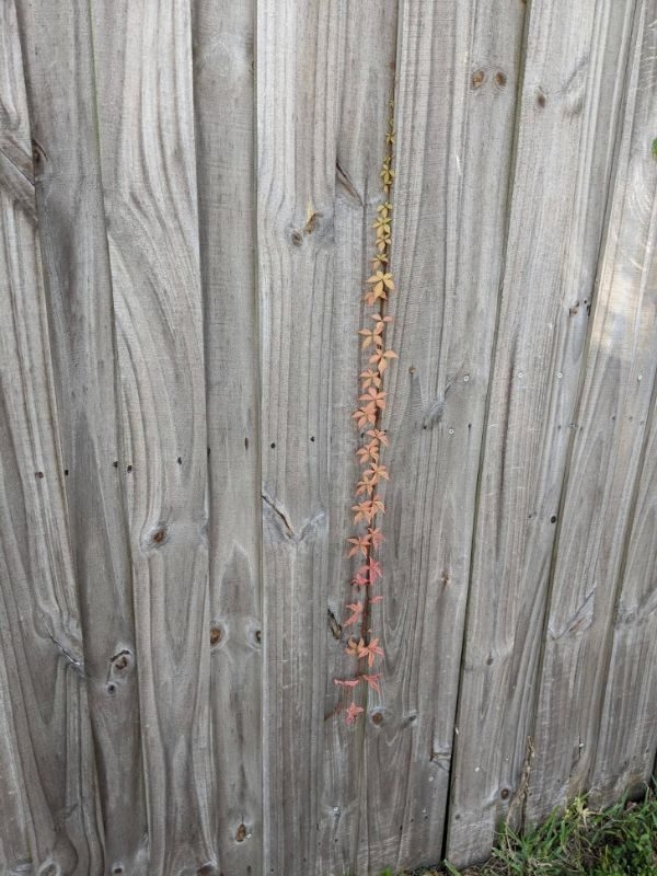 perfectphotos200_010