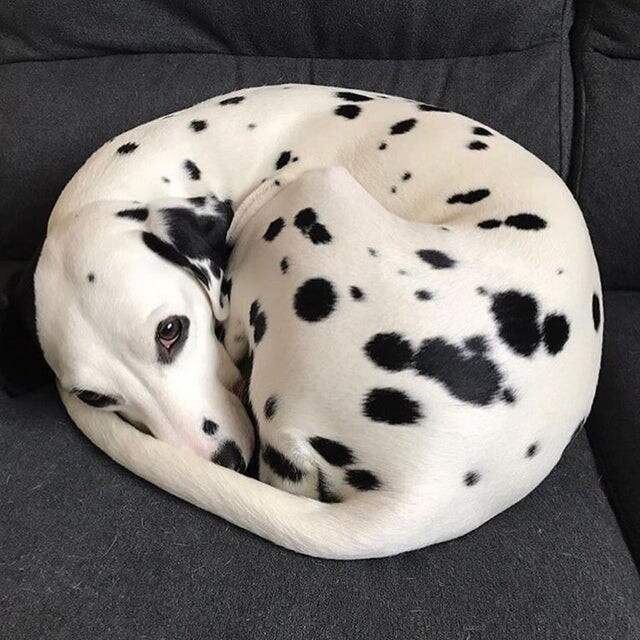 perfectphotos201_003