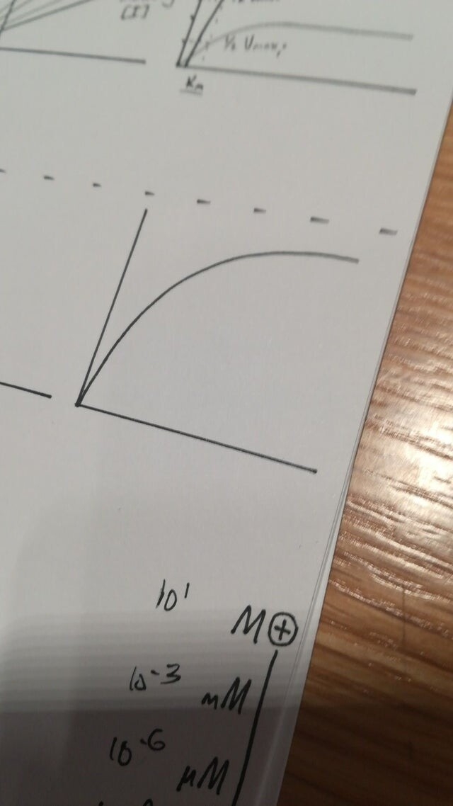 perfectphotos201_012