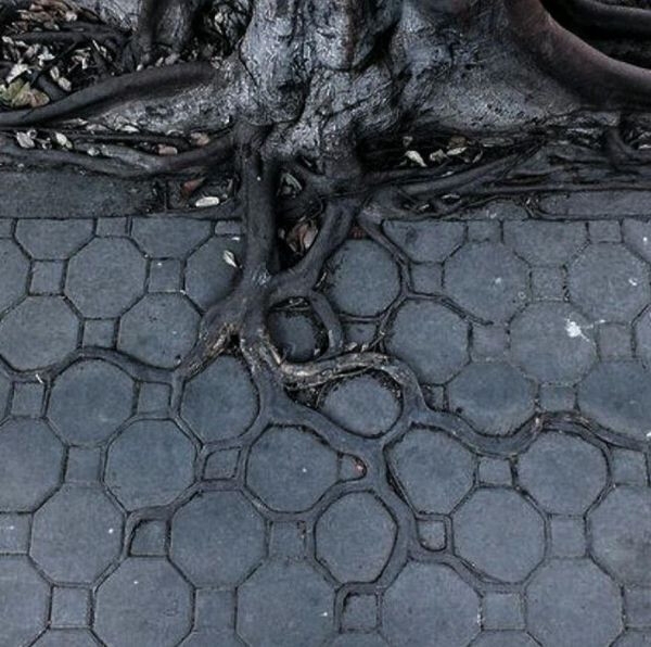 perfectphotos201_017