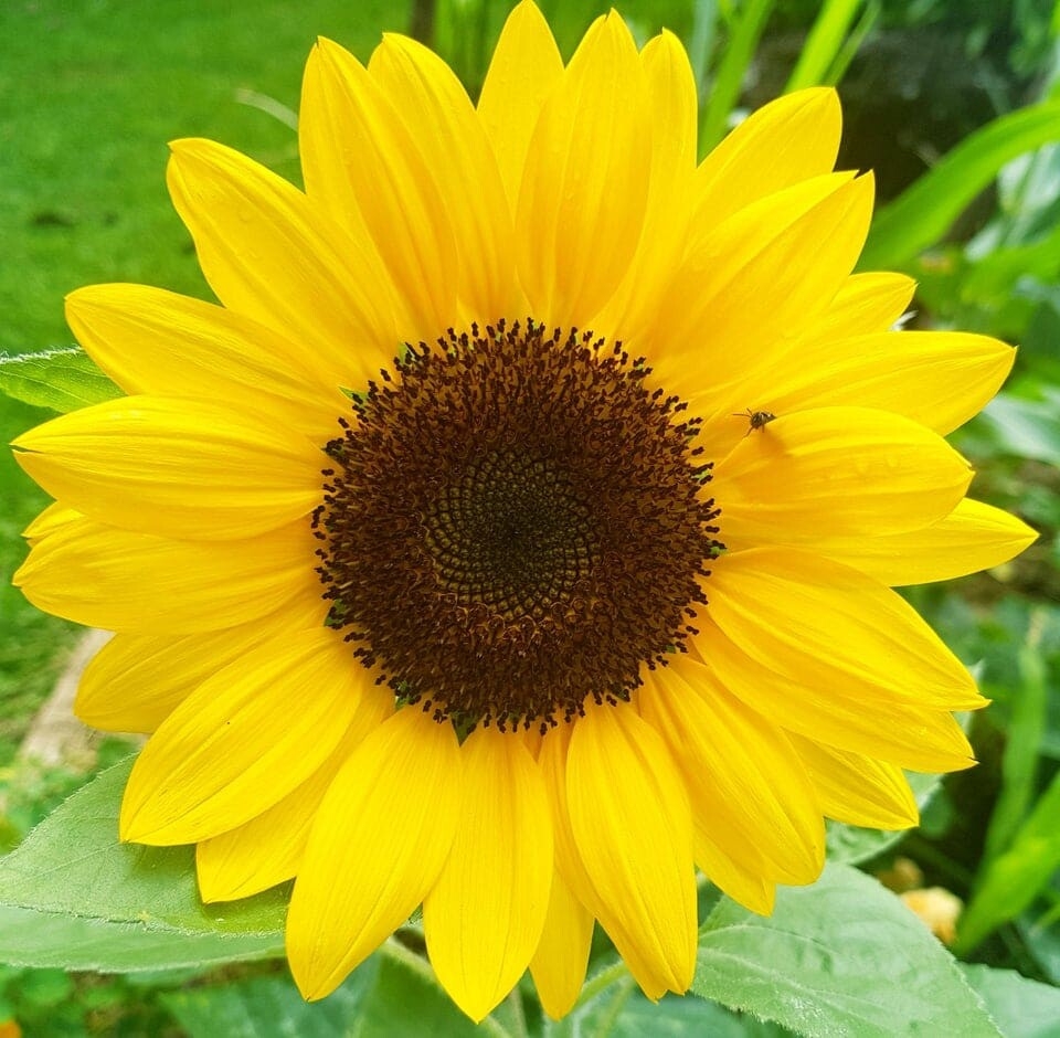 perfectphotos201_023