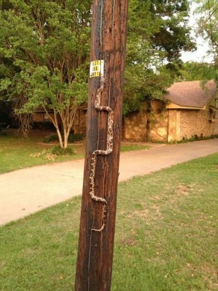 randompics1931_077