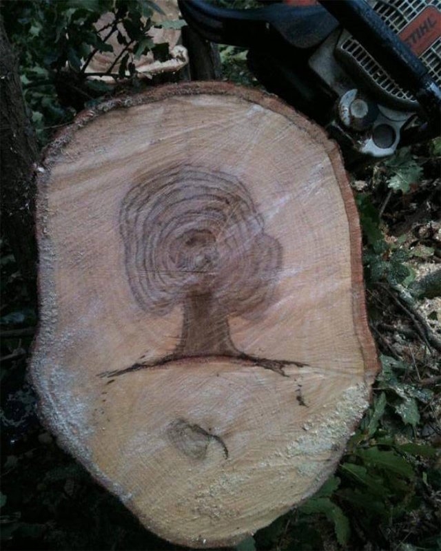 randompics1941_062